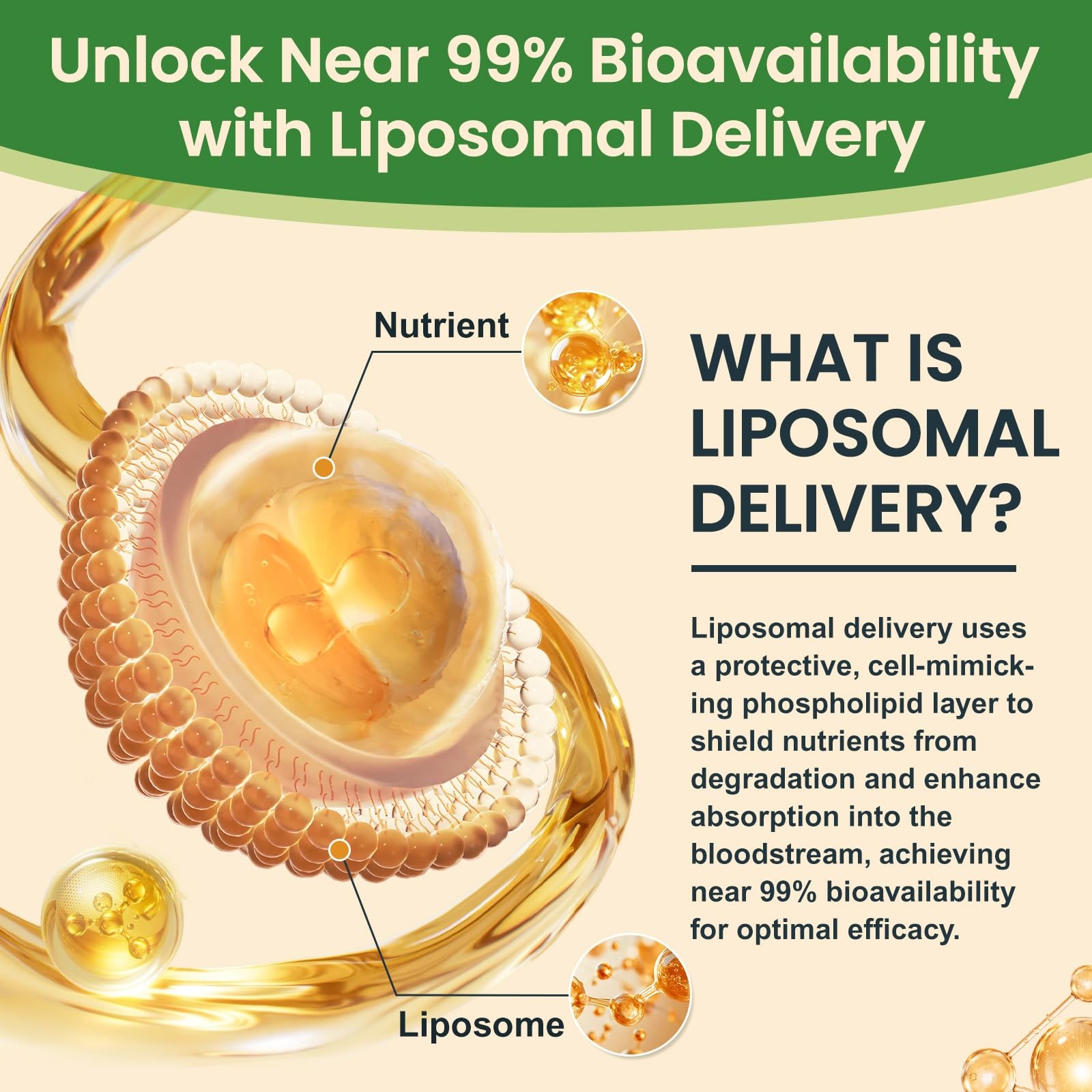 Liposomal Kava Liquid Drops Supplement – 1 Fl Oz (Pack of 1)