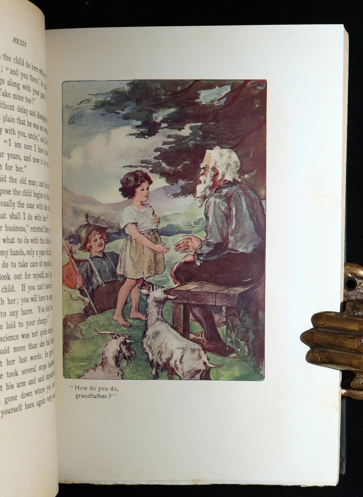 1900 Scarce Binding Variant – Heidi by Johanna Spyri, Colour Illustrated