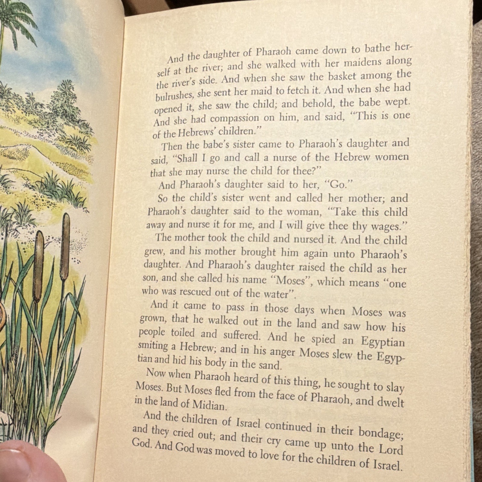 Best in Children’s Books The Wonderful Story of Moses HC Illus Ages 4-8