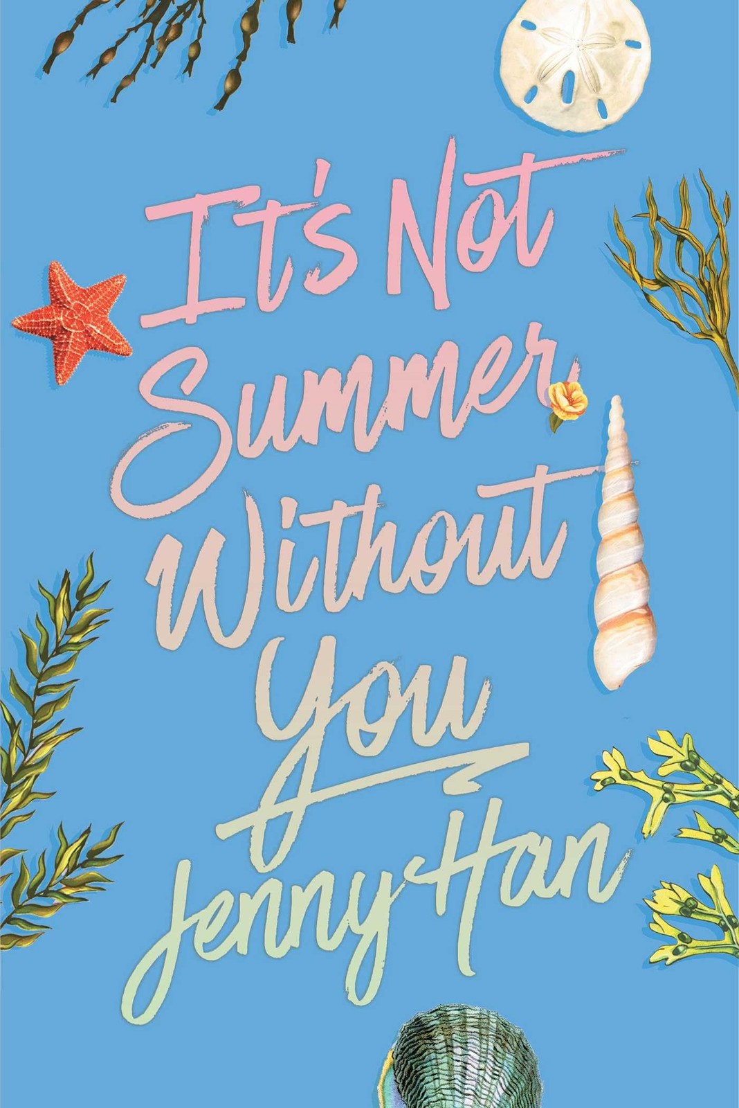 It’s Not Summer Without You (Deluxe Edition) (The Summer I Turned Pretty)