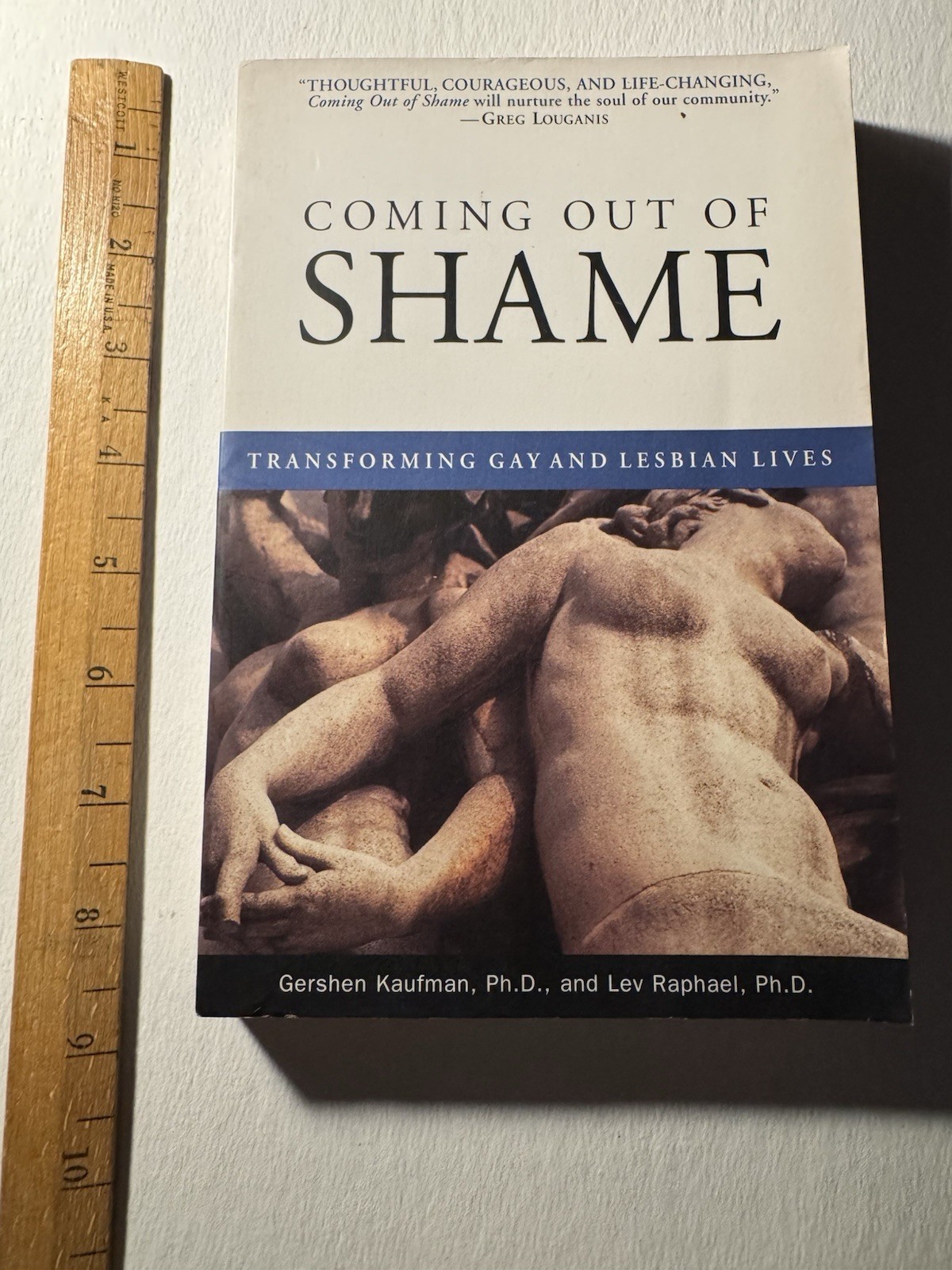 Gay Male Books, 3 Total. Coming Out Of Shame, Gay Perspective & Philosophy & Ho