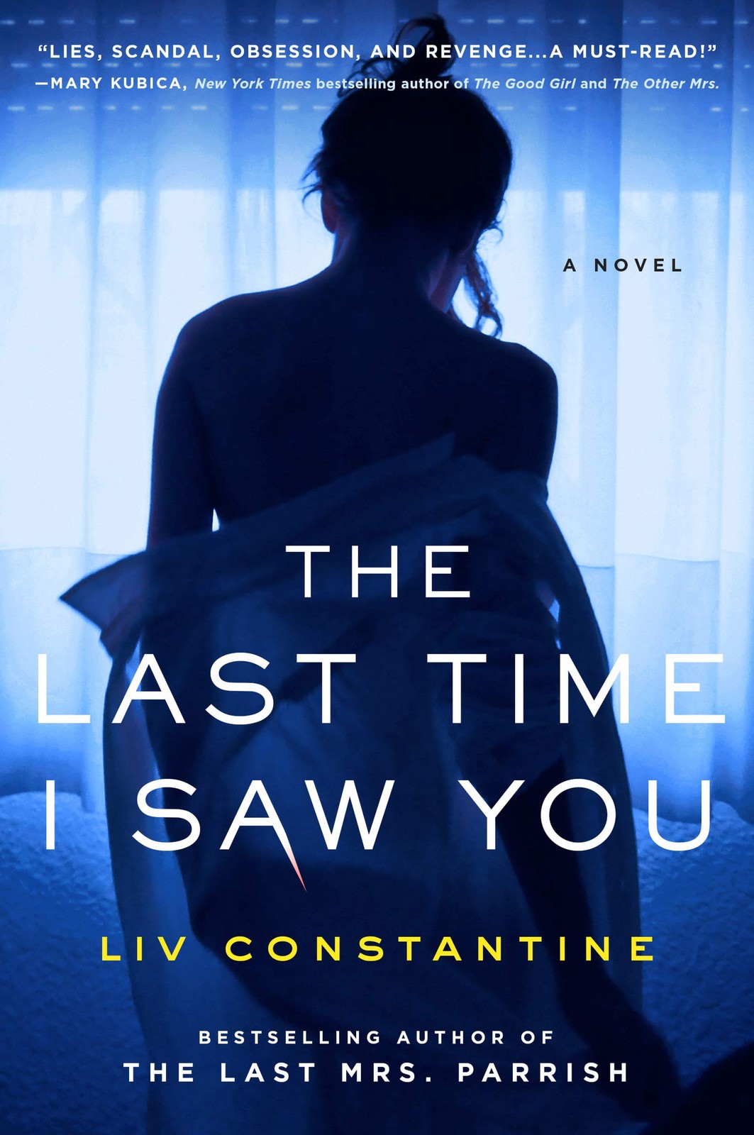 The Last Time I Saw You: A Novel – paperback Constantine, Liv