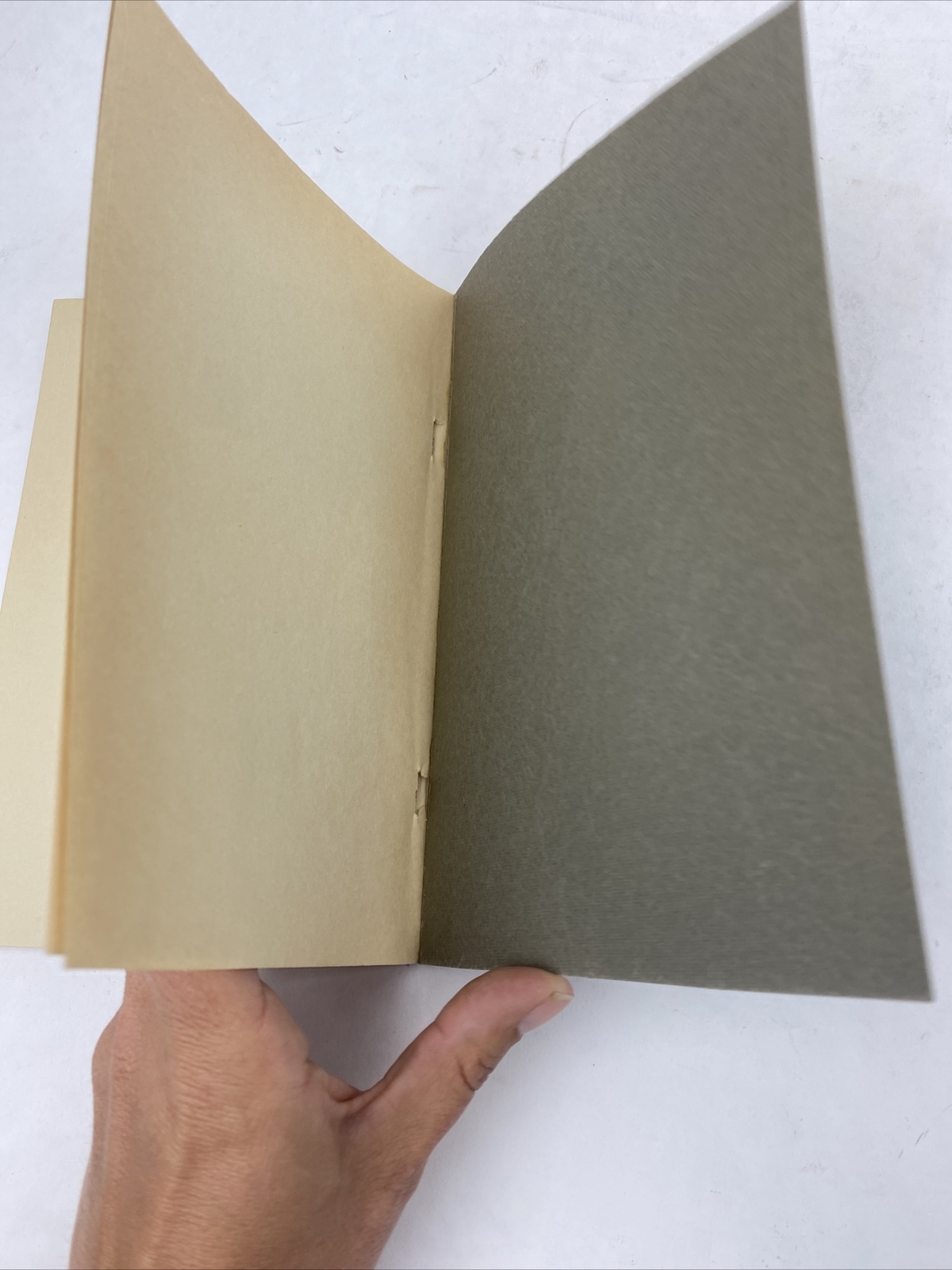 1922, The Woman’s Library: Physical Beauty Florence Courtenay Social Culture USA