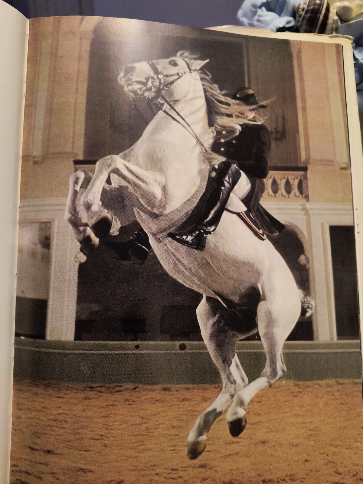 THE SPECTACLE OF SPORT FROM SPORTS ILLUSTRATED 202 PAGES OF COLOR PHOTOS H Cover
