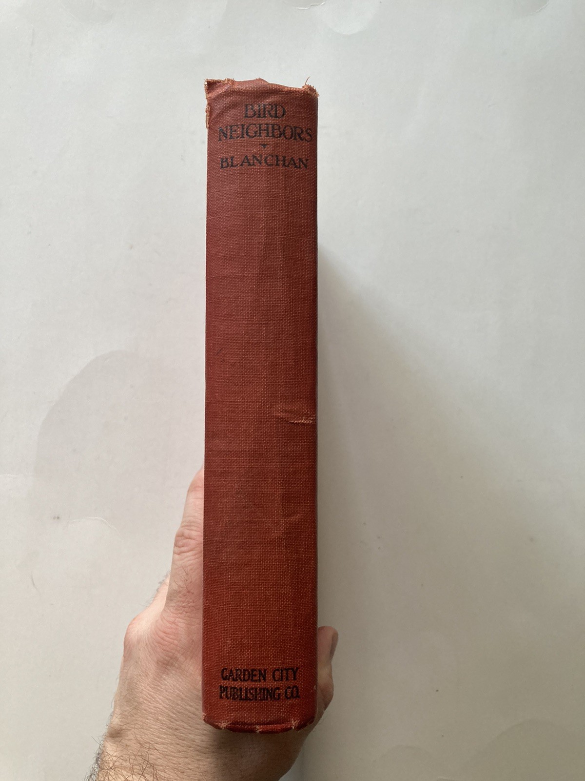 Bird Neighbors | Neltje Blanchan | Garden City, 1922 | Vintage Hardcover