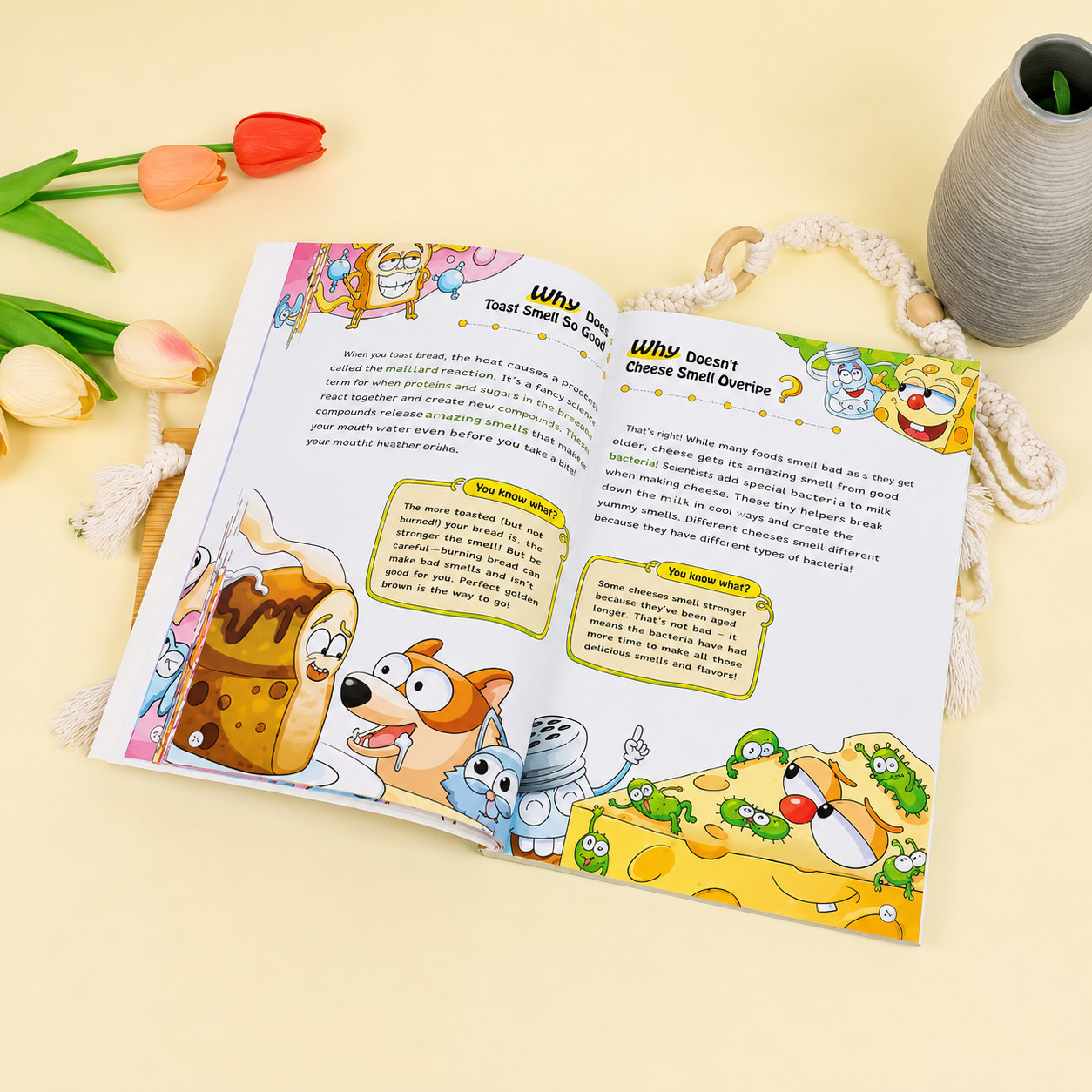 100000 Whys Kids Science Book Building The Ultimate Brain Doris Walton
