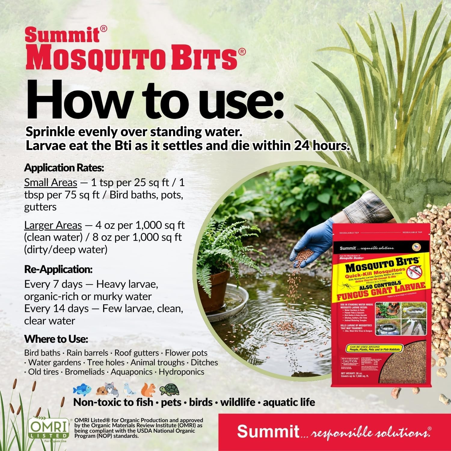 Chemical CO 117-6 30OZ