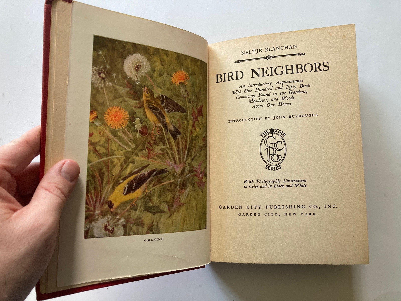 Bird Neighbors | Neltje Blanchan | Garden City, 1922 | Vintage Hardcover