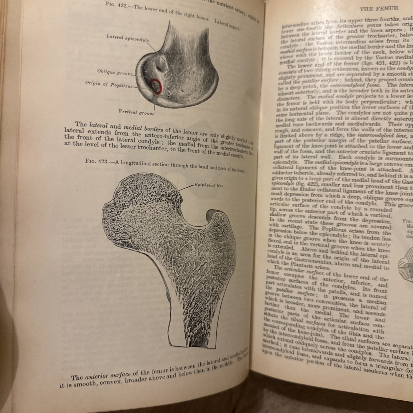 Rare 1923 Gray’s Descriptive and Applied – 22nd Ed (Classic Medical Collectible)