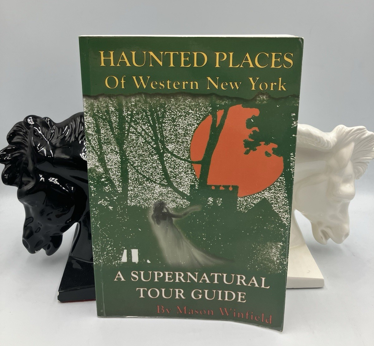 Haunted Places of Western New York 2003 Supernatural Tour Guide Mason Winfield