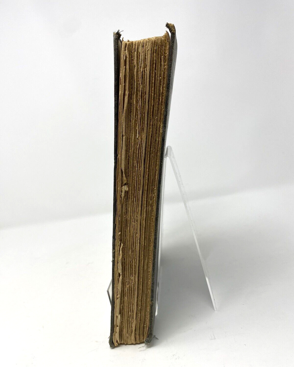 Treasure Island by Robert Louis Stevenson 1911 hardcover illustrated Scribner