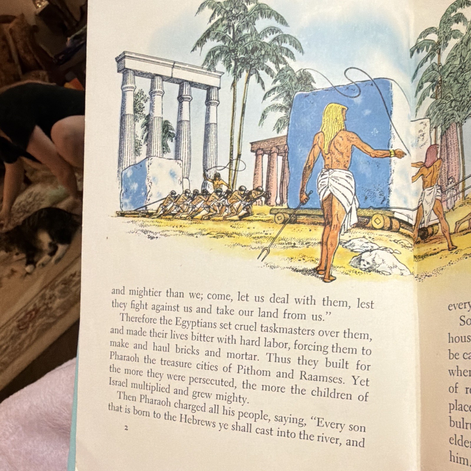 Best in Children’s Books The Wonderful Story of Moses HC Illus Ages 4-8