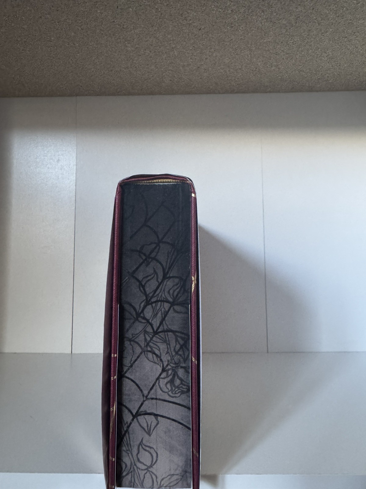 Leigh Rivers SIGNED Web of Silence Duet Page & Wick Omnibus Special Edition