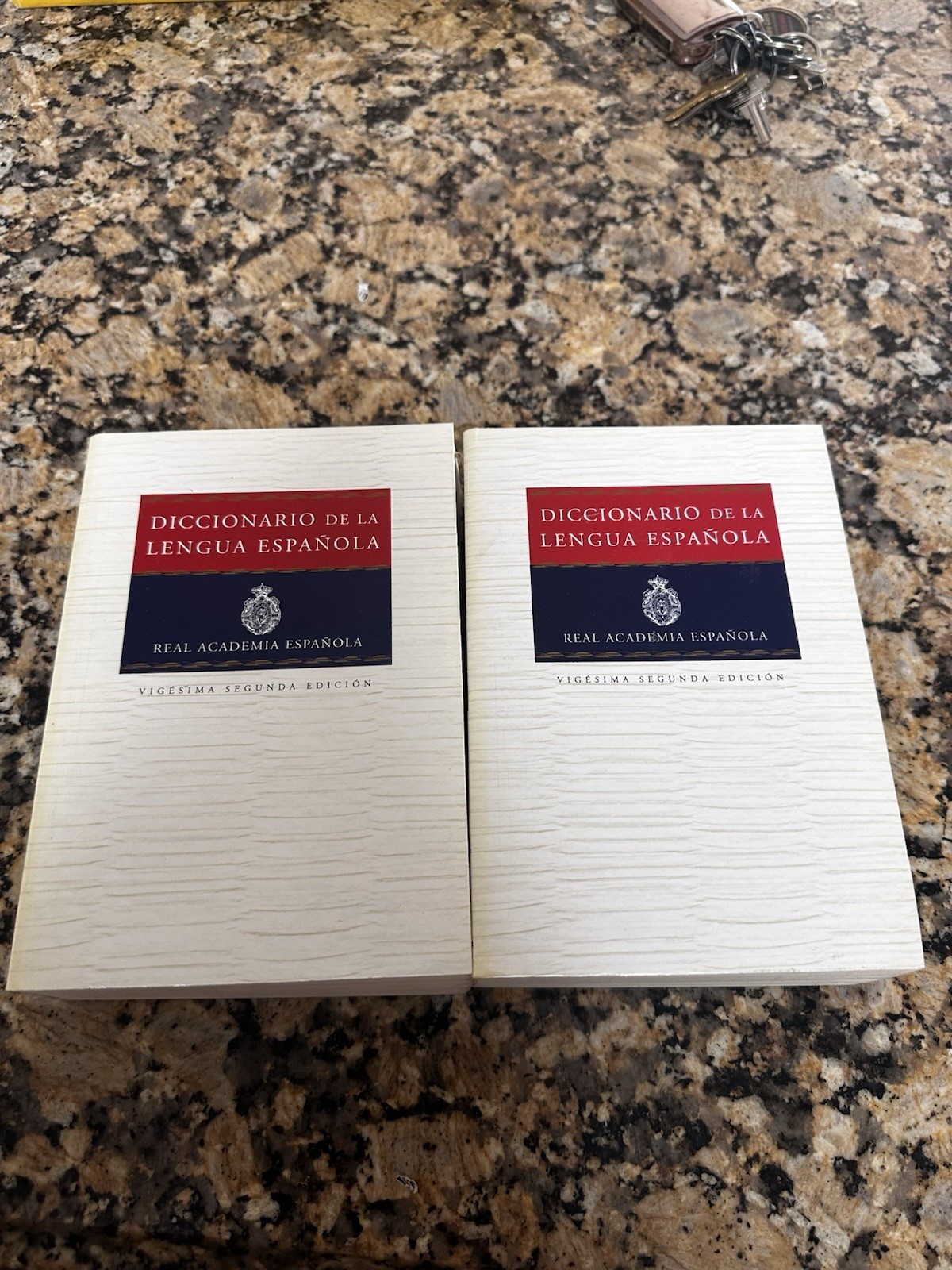 Real Academia Española Diccionario de la Lengua Española 22nd Ed 2 Vol Set