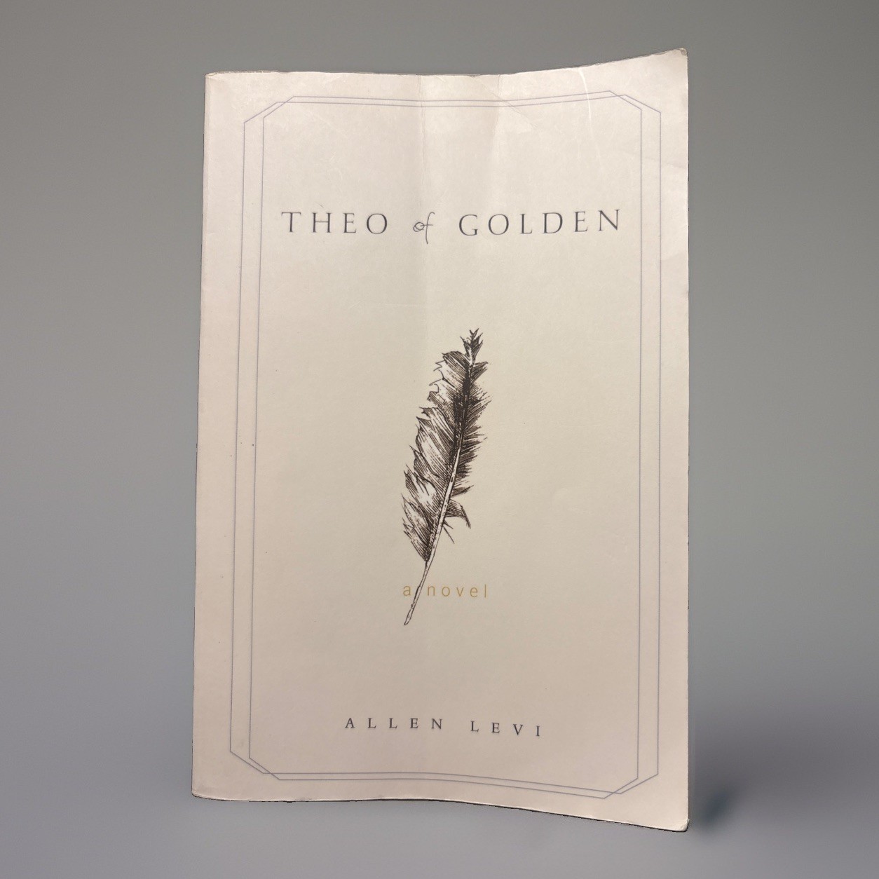 Theo of Golden: A Novel by Allen Levi (2023, Paperback)