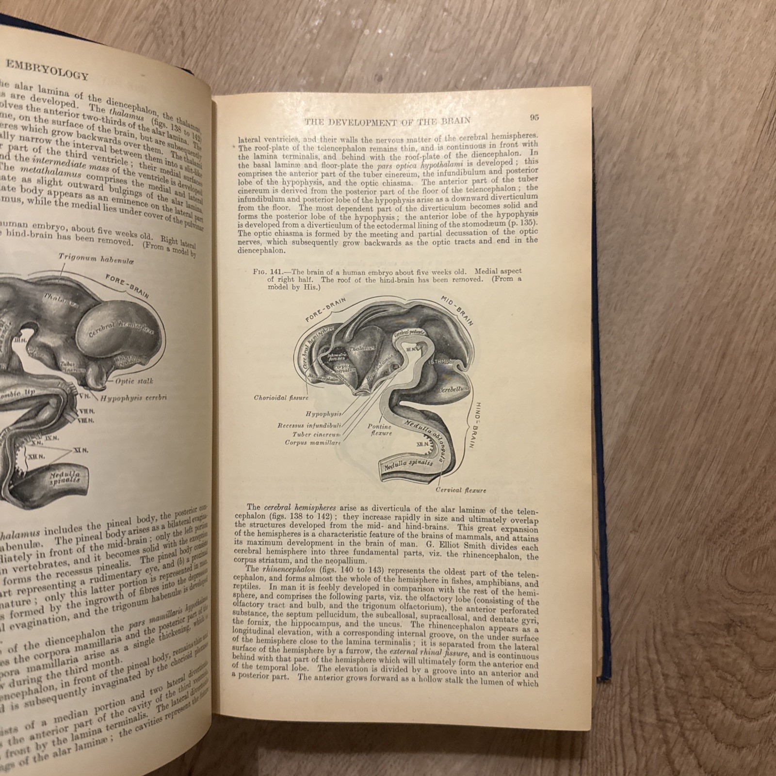 Rare 1923 Gray’s Descriptive and Applied – 22nd Ed (Classic Medical Collectible)