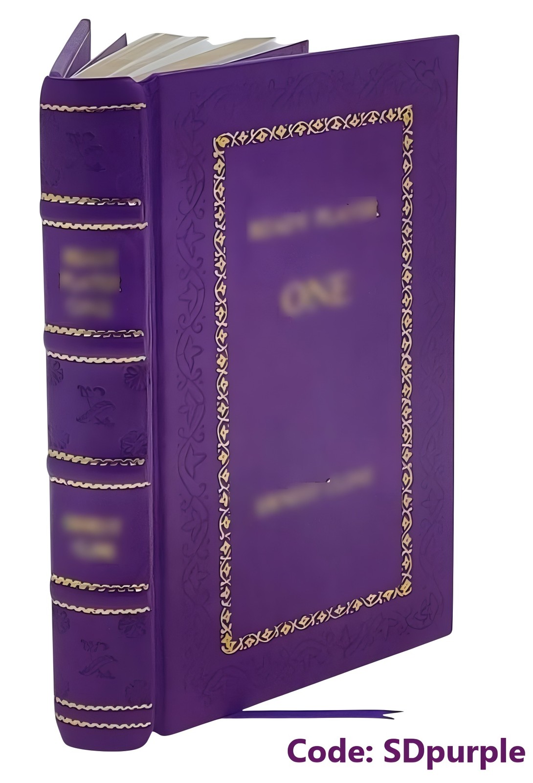Theo of Golden by Allen Levi [Premium Leather Bound]