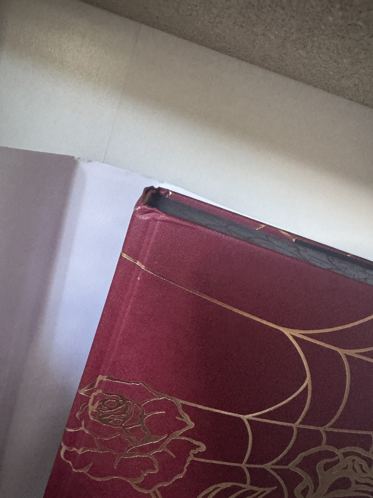 Leigh Rivers SIGNED Web of Silence Duet Page & Wick Omnibus Special Edition